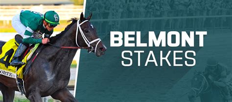 probabilidades belmont stakes|2023 Belmont Stakes Picks, Betting, Contenders and .